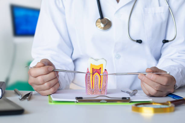 Best Emergency Gum Pain Relief  in Derby, CT